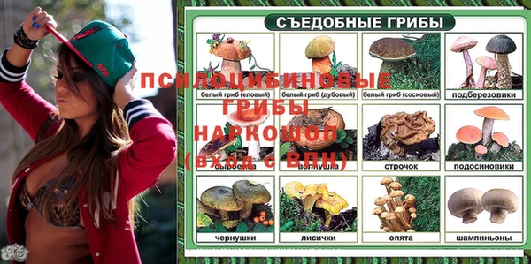 PSILOCYBIN Алексеевка