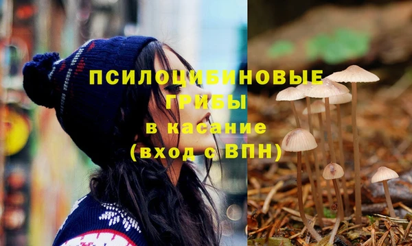 сатива Абдулино