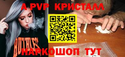 СК Ставрополь