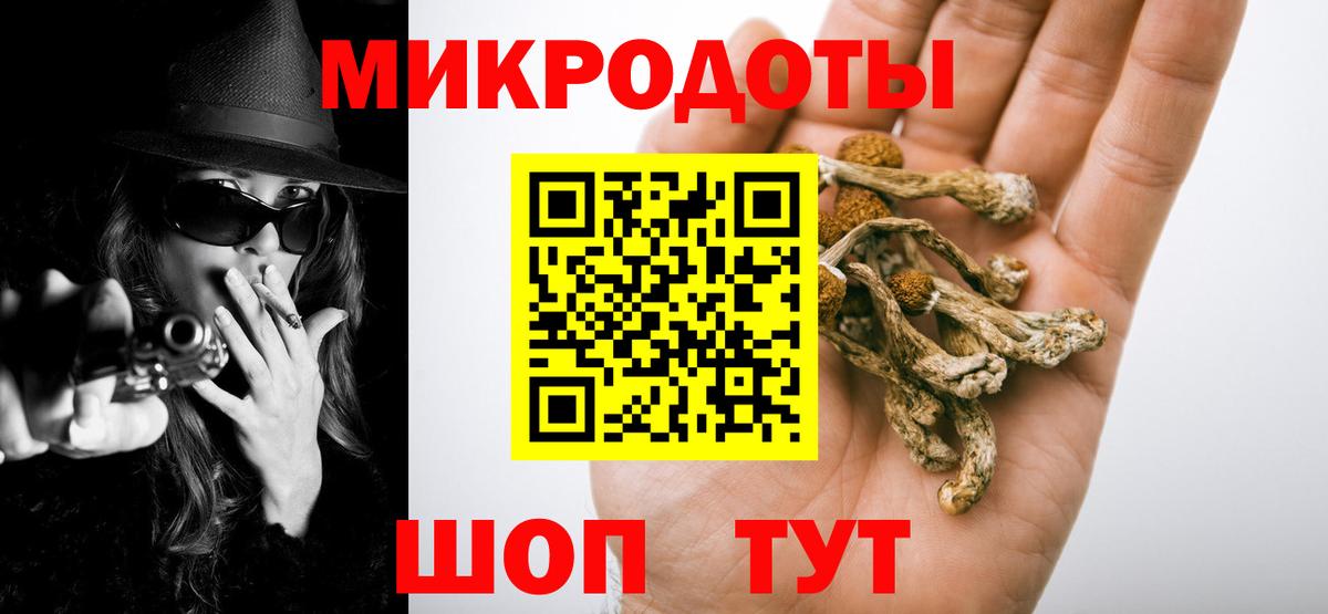 Псилоцибиновые грибы Psilocybine cubensis Усть-Илимск